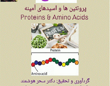 پروتئین ها (آمینو اسید ها)