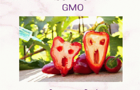 محصولات ترا ریخته (GMO) بخش اول