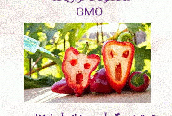 محصولات ترا ریخته (GMO) بخش اول